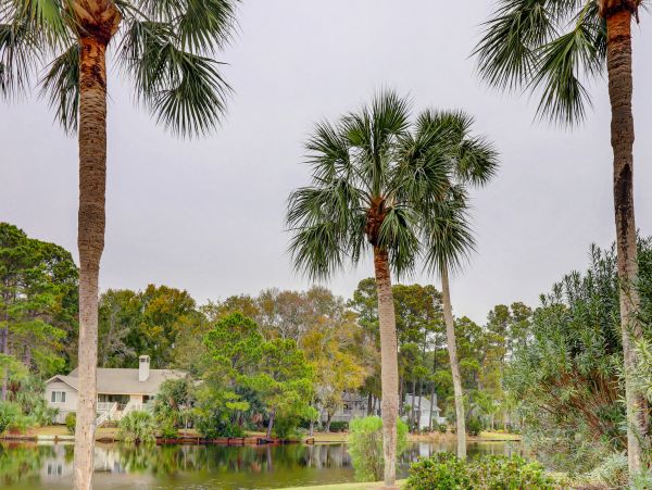 Hilton Head Condo 1008901