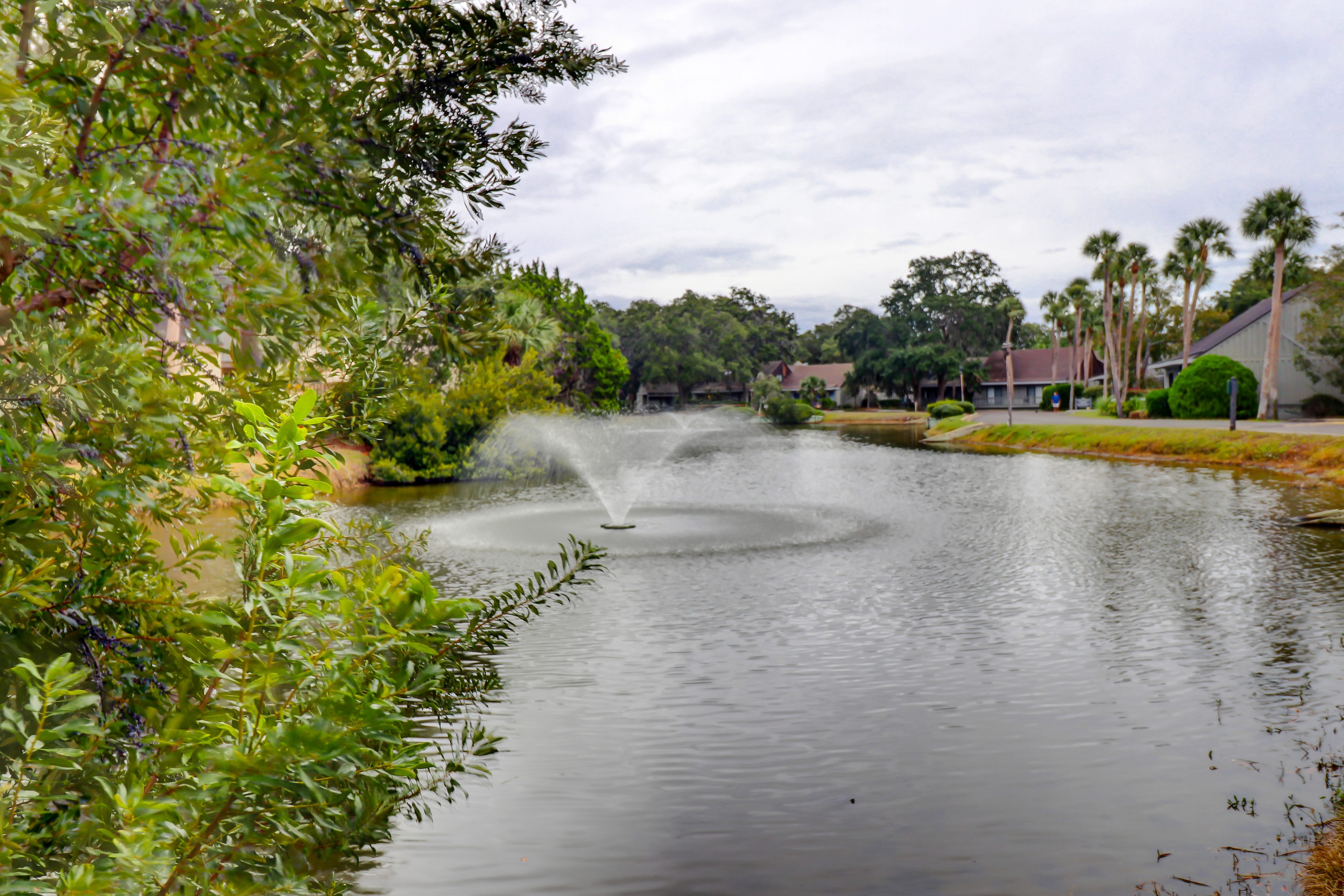 Hilton Head Condo 1008901