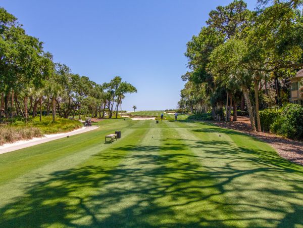 Hilton Head Condo 1008902