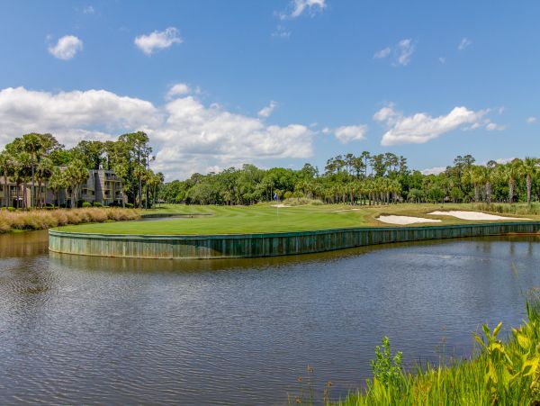 Hilton Head Condo 1008902