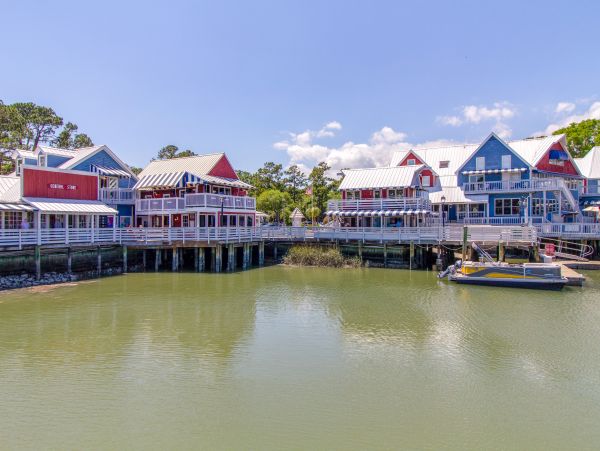 Hilton Head Condo 1008902
