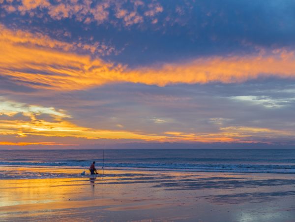 Hilton Head Condo 1008902