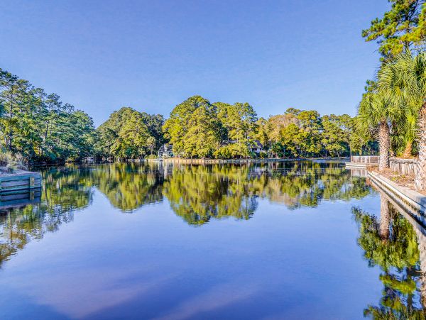 Hilton Head Condo 1008903