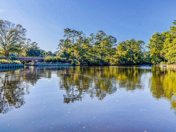 Hilton Head Condo 1008903
