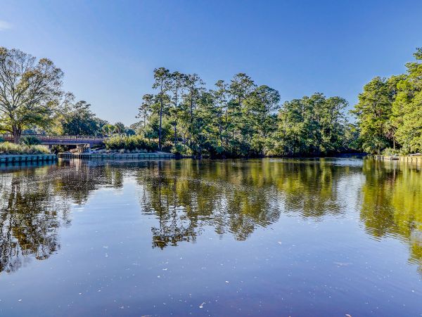 Hilton Head Condo 1008905