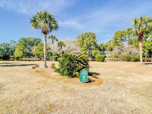 Hilton Head Condo 1008905