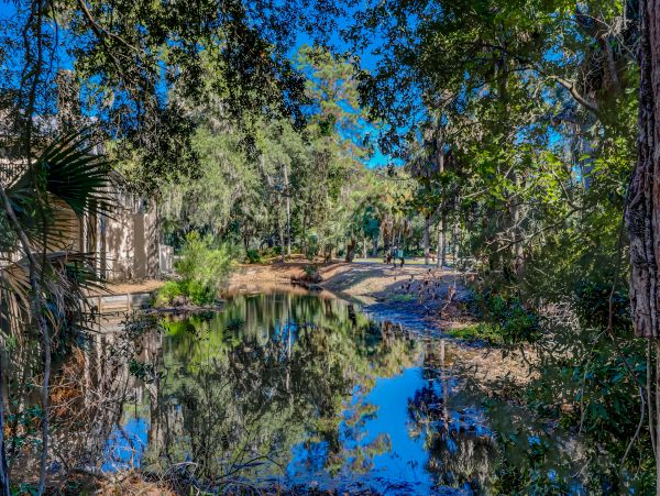 Hilton Head Condo 1008906