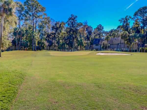 Hilton Head Condo 1008906