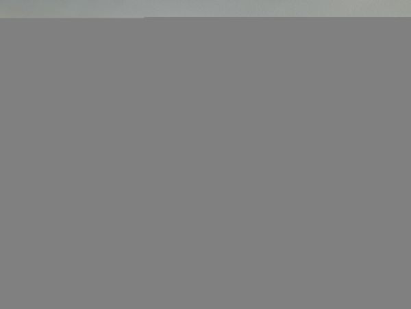 Hilton Head Condo 1008907