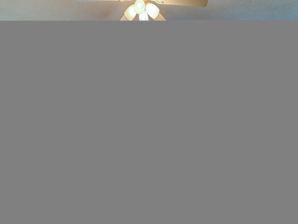 Hilton Head Condo 1008907
