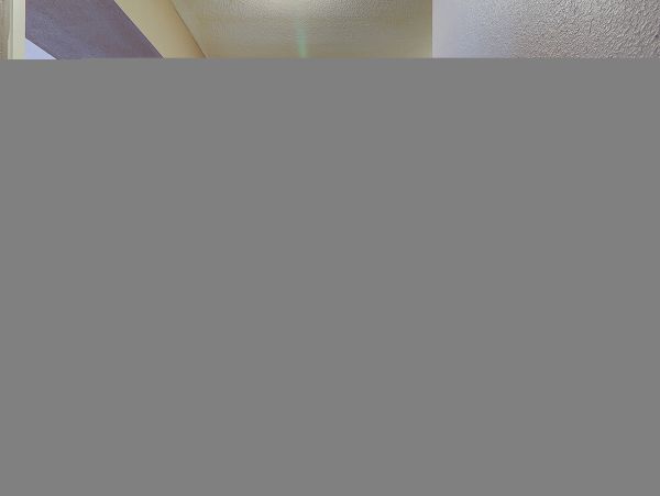 Hilton Head Condo 1008907