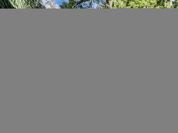Hilton Head Condo 1008907