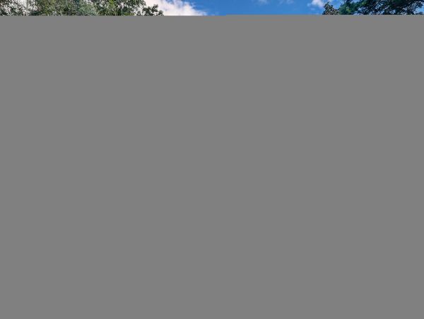 Hilton Head Condo 1008907