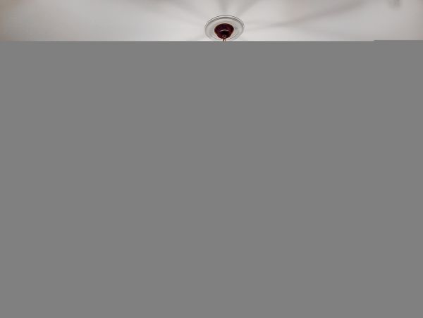 Hilton Head Condo 1008913
