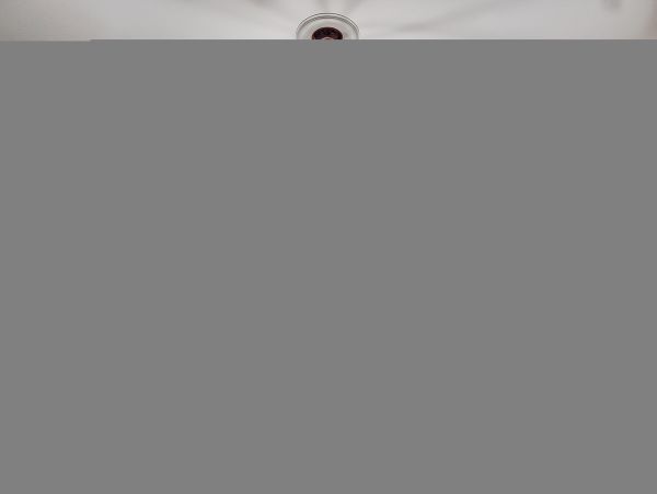 Hilton Head Condo 1008913