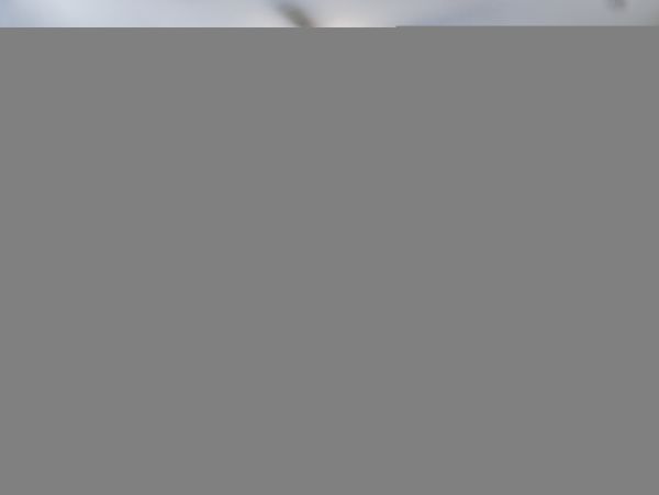 Hilton Head Condo 1008913