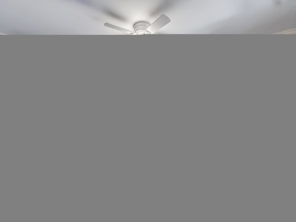 Hilton Head Condo 1008913