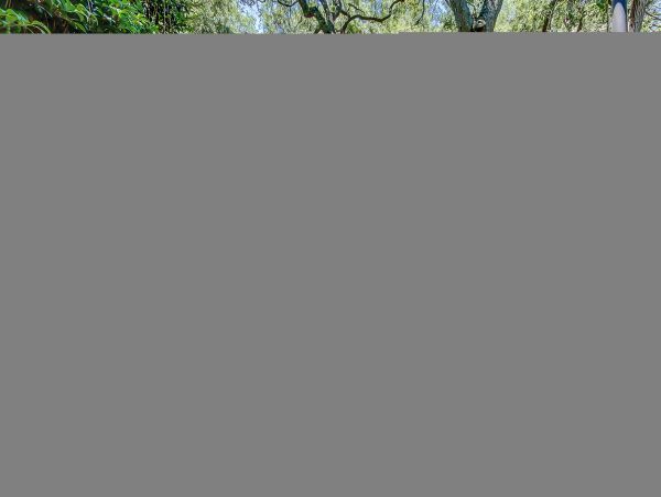 Hilton Head Condo 1008913