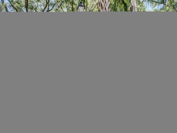 Hilton Head Condo 1008913