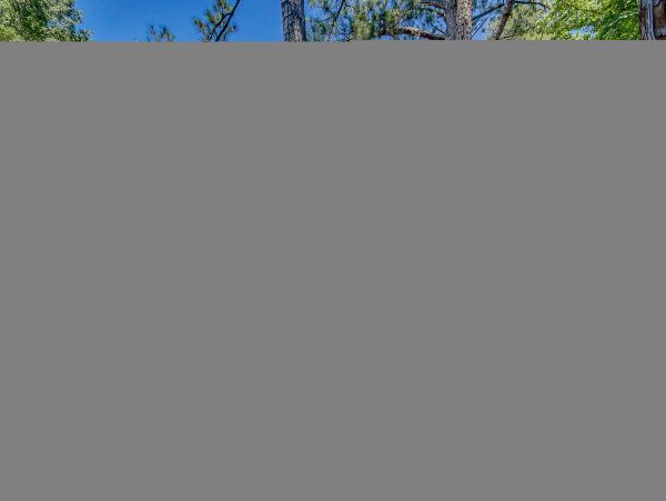 Hilton Head Condo 1008913