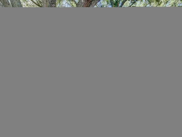 Hilton Head Condo 1008913