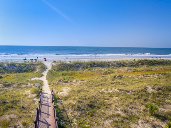 Hilton Head Condo 1008916