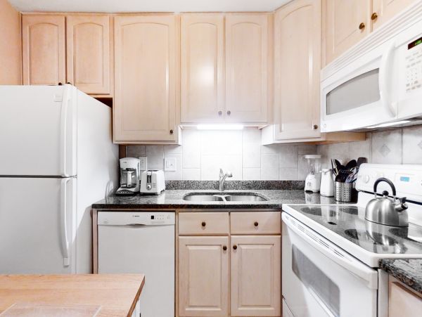 Hilton Head Condo 1008919
