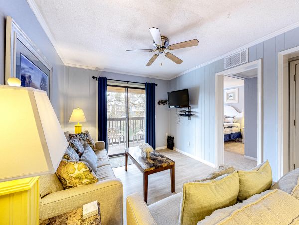 Hilton Head Condo 1008920
