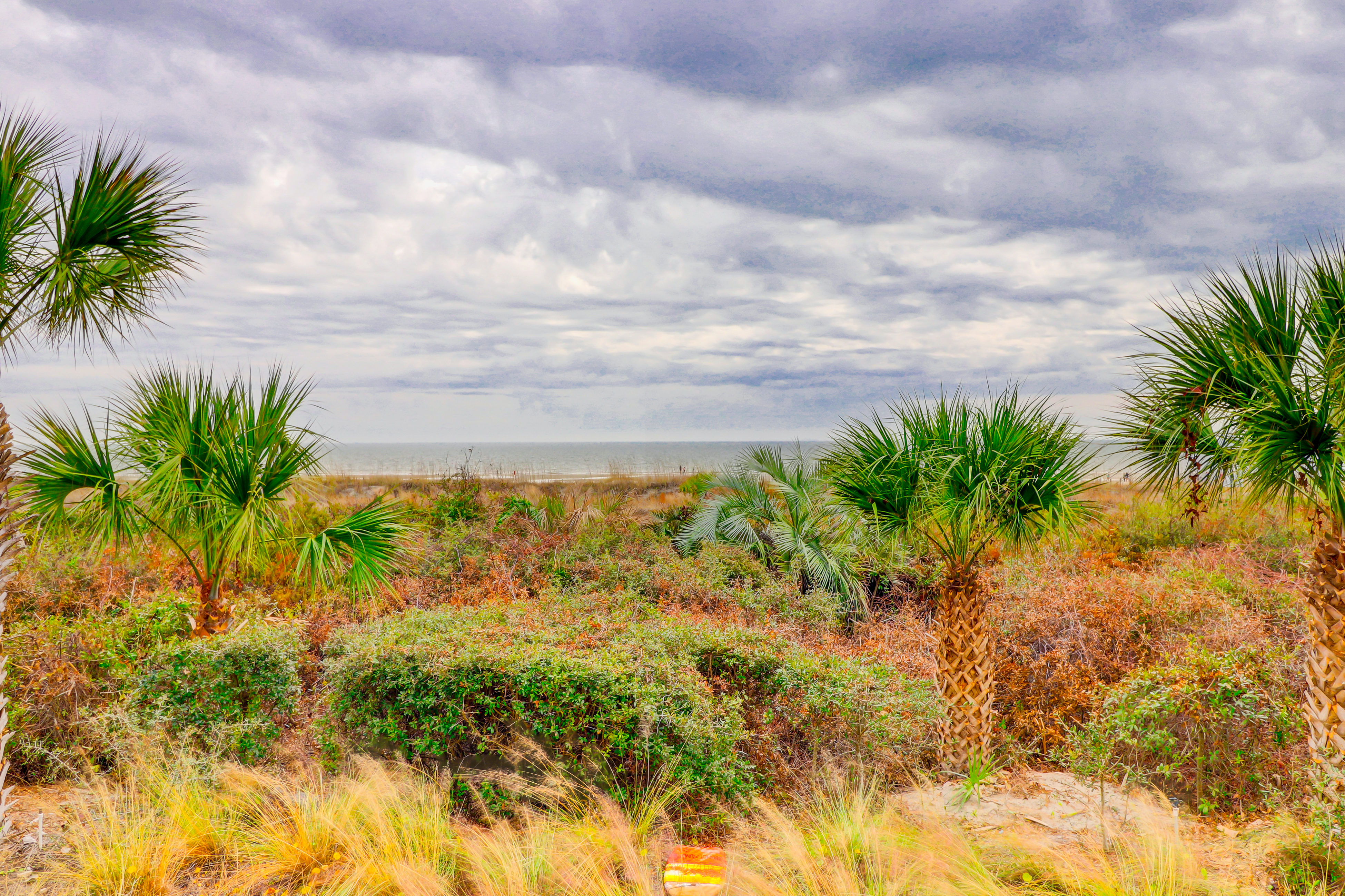 Hilton Head Condo 1008921
