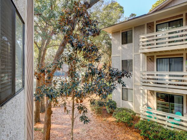 Hilton Head Condo 1008922