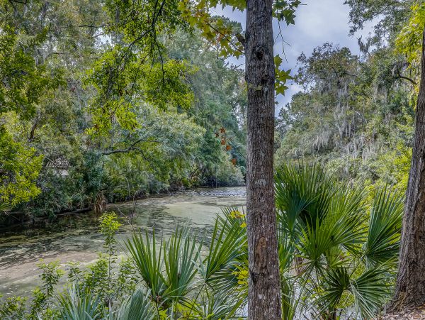 Hilton Head Condo 1008929