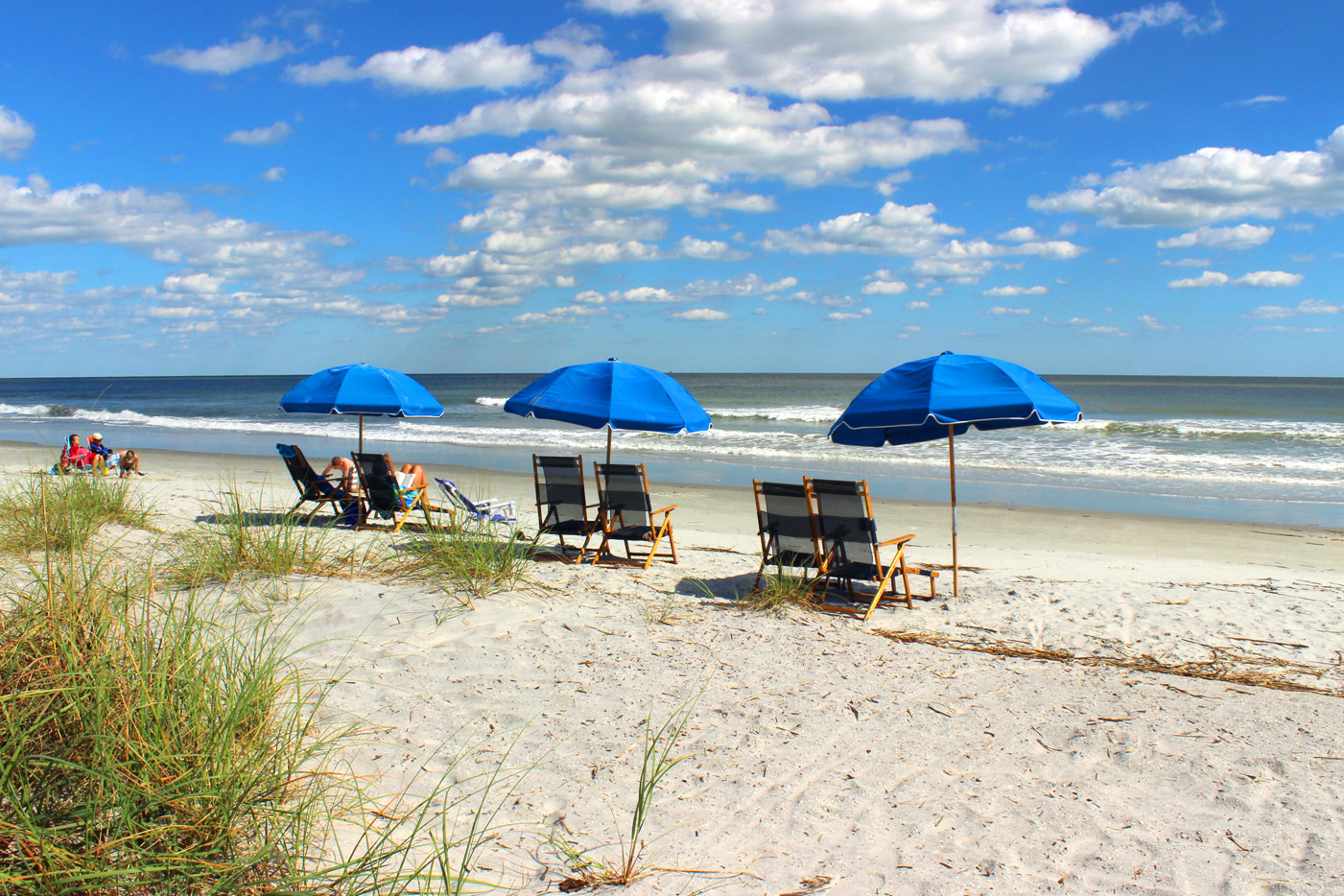 Hilton Head Condo 1008930