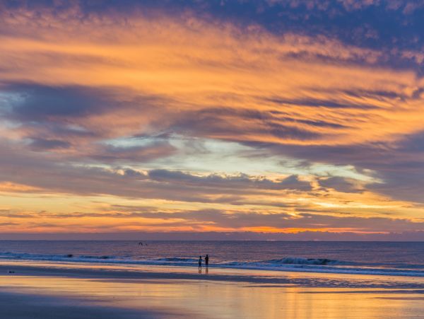 Hilton Head Condo 1008930