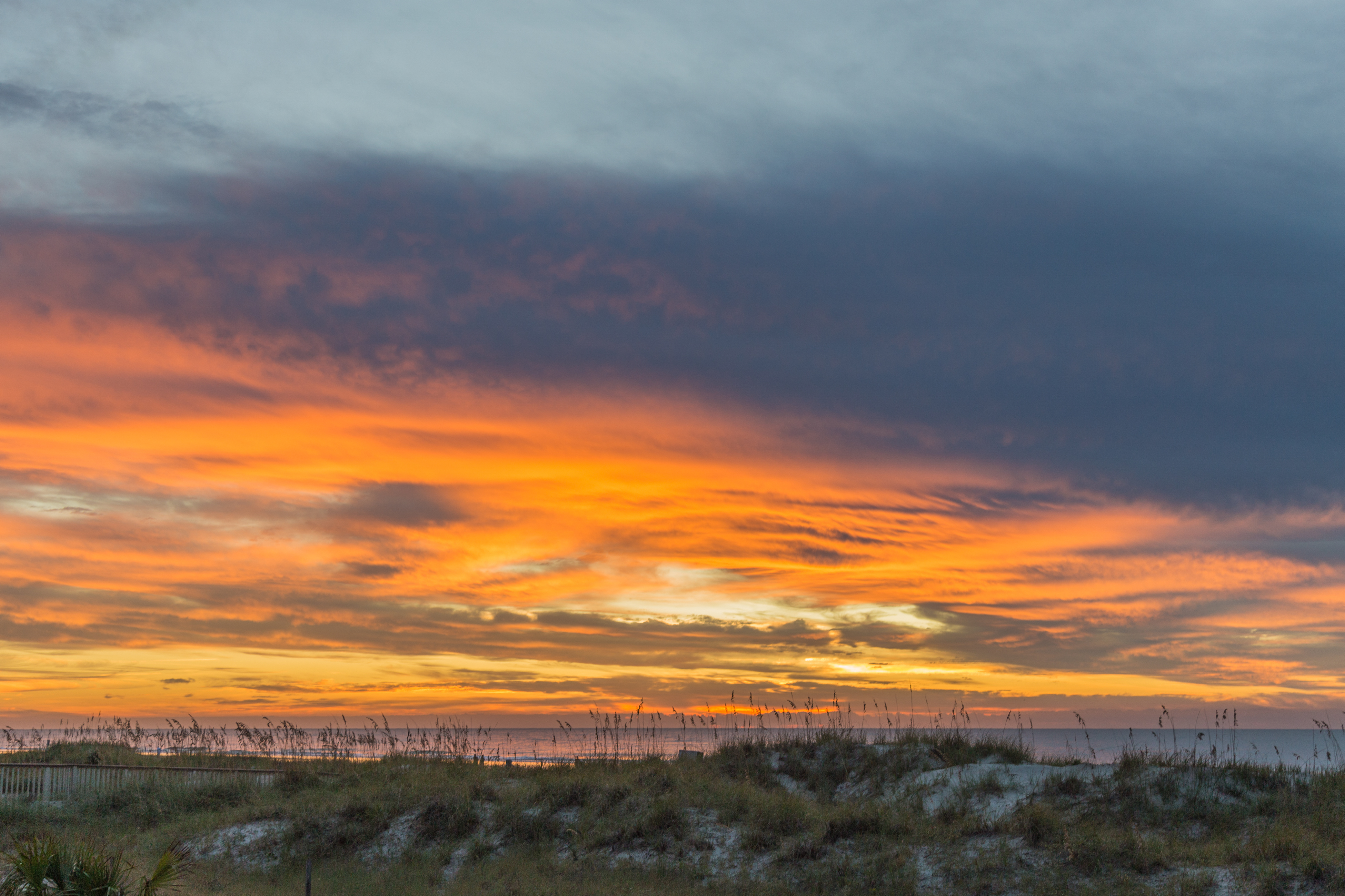 Hilton Head Condo 1008930