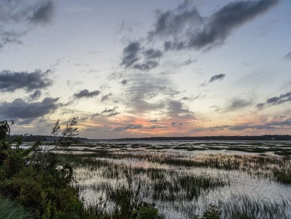 Hilton Head Condo 1008930