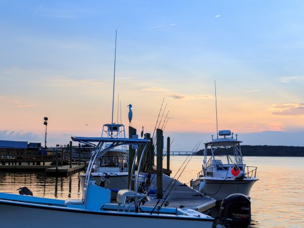 Hilton Head Condo 1008930