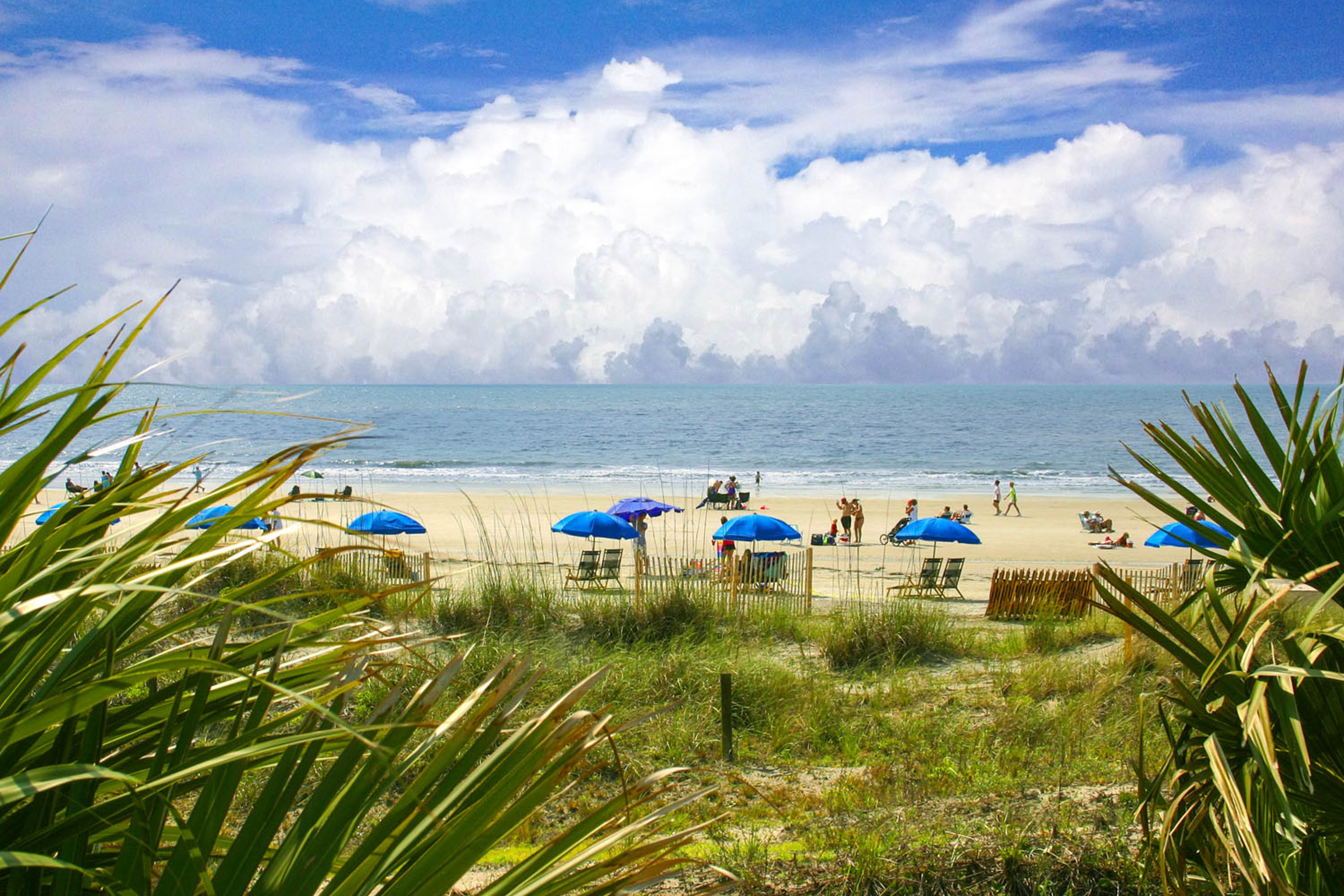 Hilton Head Condo 1008930