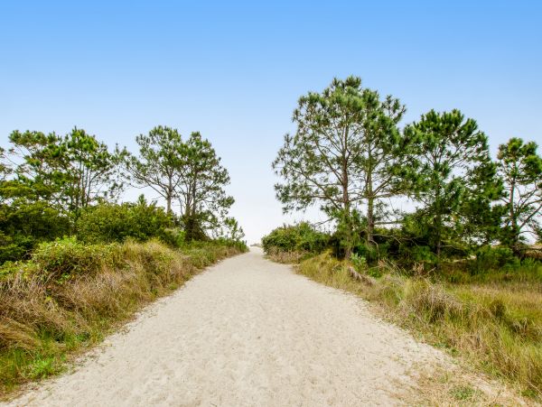 Hilton Head Home 1008935