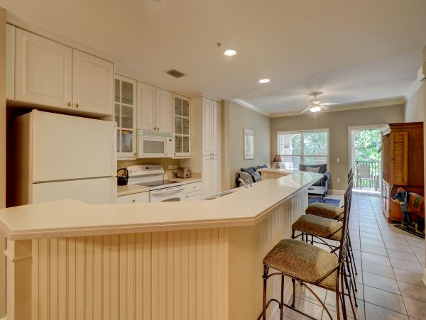 Hilton Head Condo 1008943