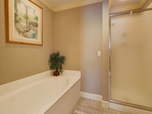 Hilton Head Condo 1008943