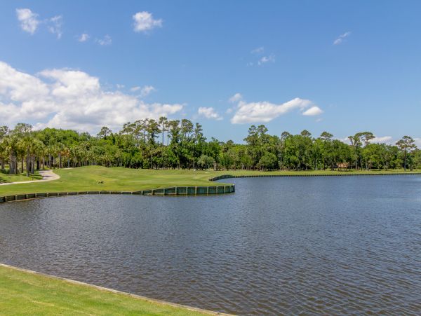 Hilton Head Condo 1008944