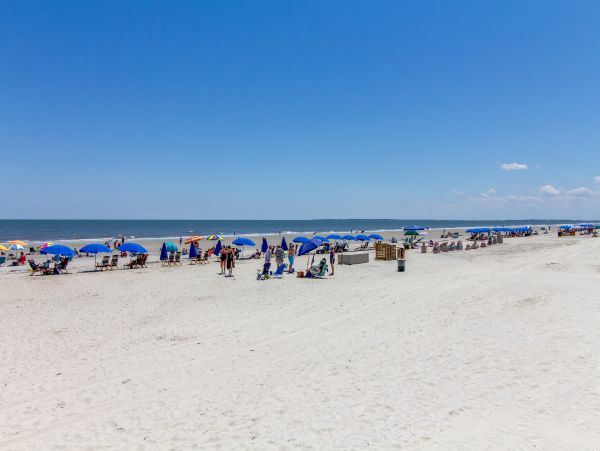 Hilton Head Condo 1008944