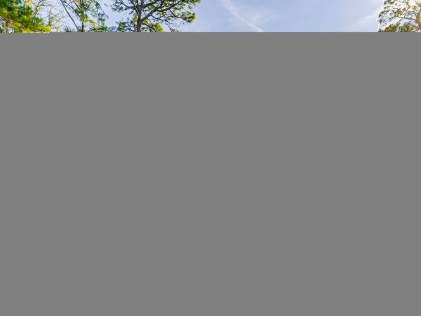 Hilton Head Condo 1008948