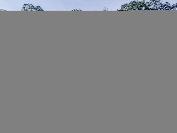 Hilton Head Condo 1008948
