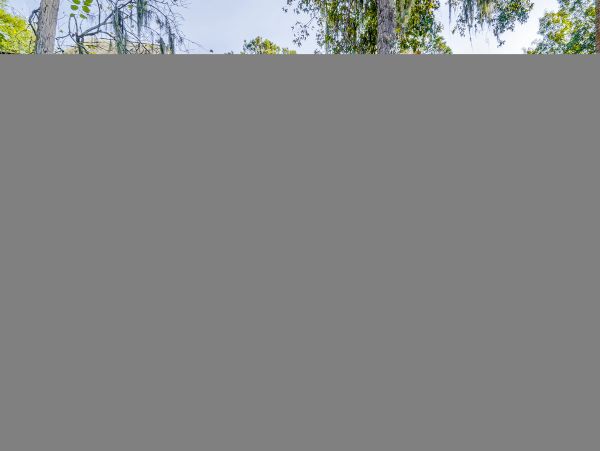 Hilton Head Condo 1008948