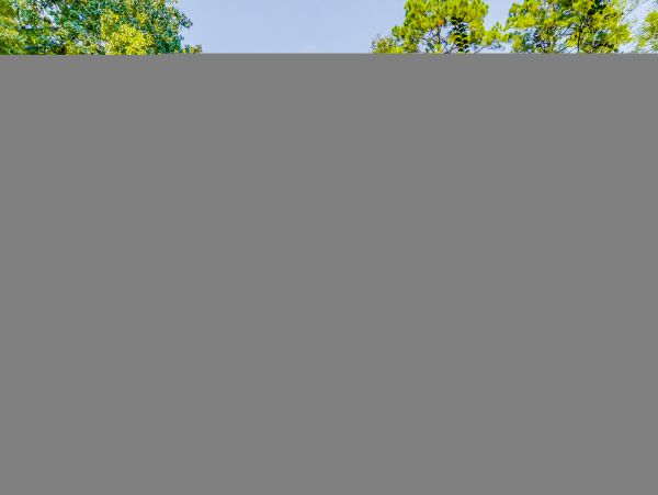 Hilton Head Condo 1008948