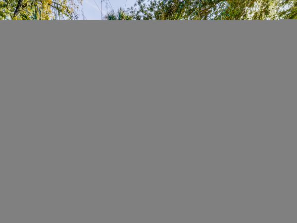 Hilton Head Condo 1008948