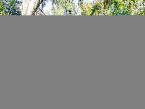 Hilton Head Condo 1008948