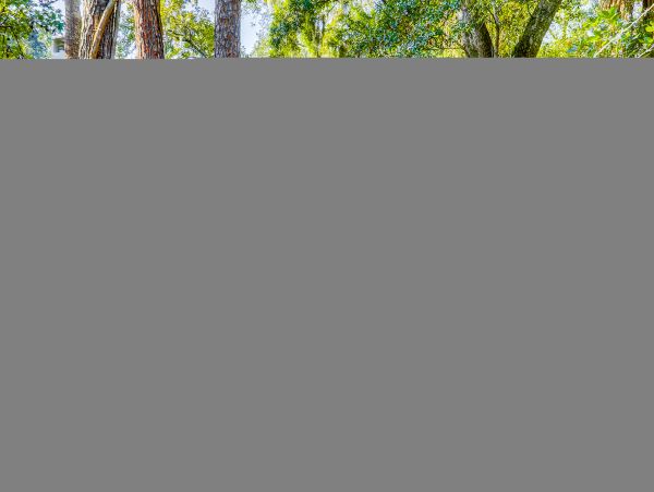 Hilton Head Condo 1008948