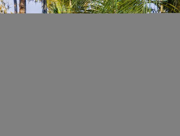 Hilton Head Condo 1008948